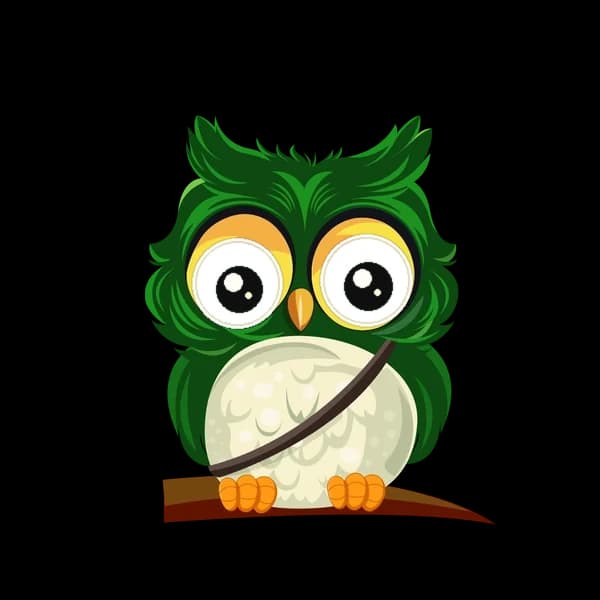 OwlPlan AI